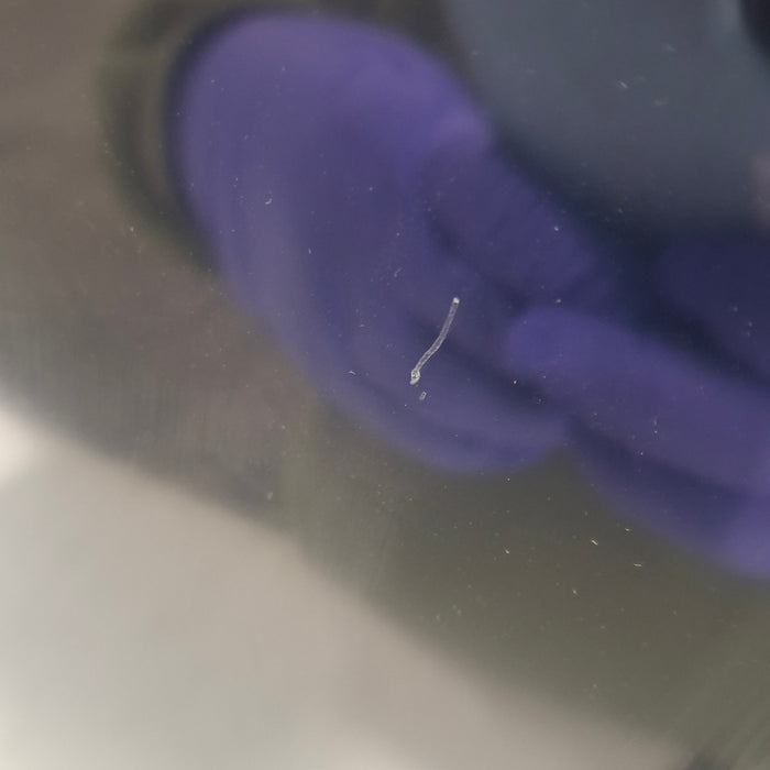 Mindray Mindray V12 Bedside Patient Monitor Patient Monitors reLink Medical