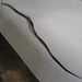 Stryker Stryker Secure III 3005 Hospital Bed Beds & Stretchers reLink Medical