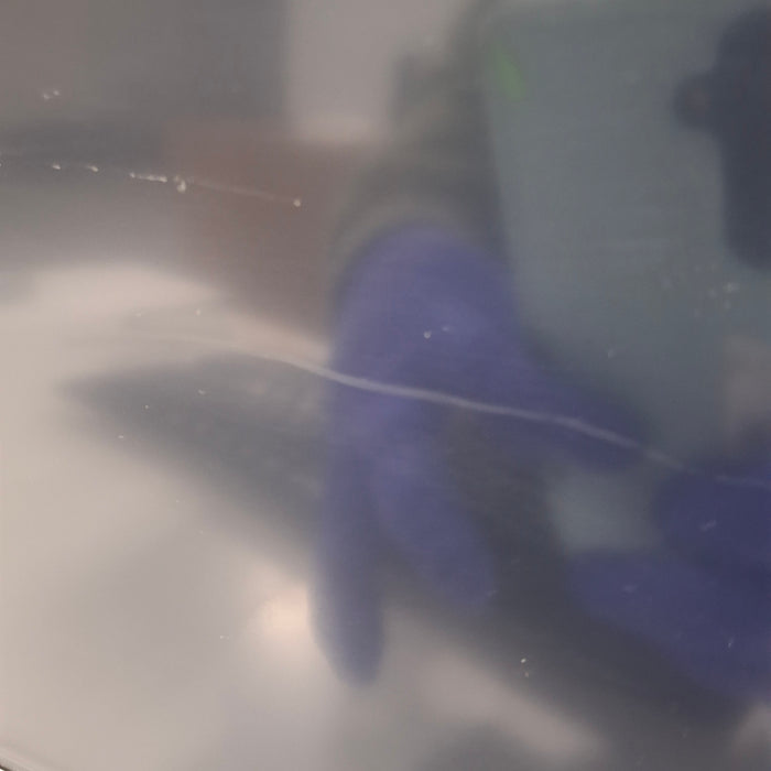 GE Healthcare GE Healthcare Carescape B650 Critical Care Patient Monitor Patient Monitors reLink Medical