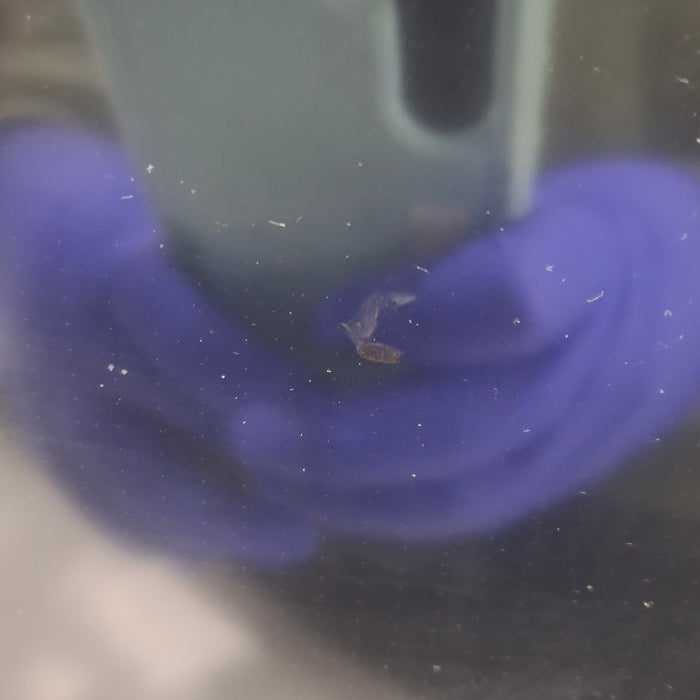 GE Healthcare GE Healthcare Carescape B650 Emergency Care Patient Monitor Patient Monitors reLink Medical