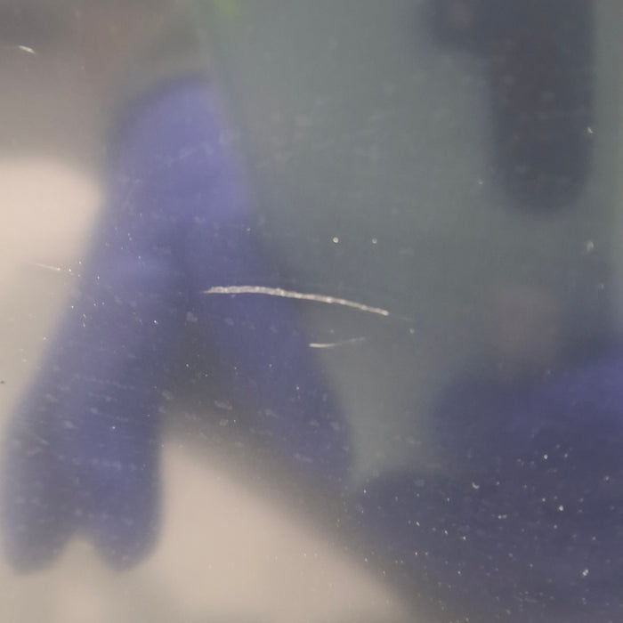 GE Healthcare GE Healthcare Carescape B650 Critical Care Patient Monitor Patient Monitors reLink Medical