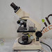 Swift Optical Instruments, Inc. Swift Optical Instruments, Inc. M1000 Binocular Microscope Lab Microscopes reLink Medical