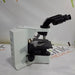 Olympus Olympus U-TBI-CLI Tilting Binocular Head Lab Microscopes reLink Medical