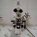 Leica Leica DM 2000 Binocular Microscope Lab Microscopes reLink Medical