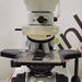 Leica Leica DM 2000 Binocular Microscope Lab Microscopes reLink Medical