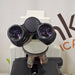 Nikon Nikon Eclipse E400 Binocular Microscope Lab Microscopes reLink Medical