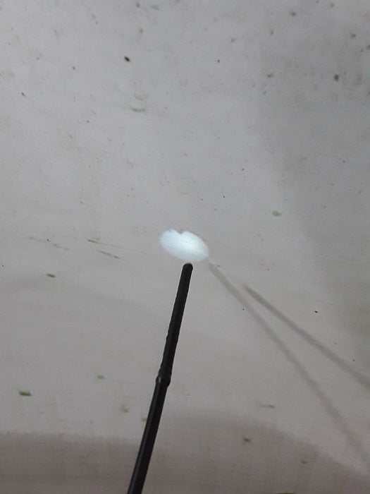 Olympus Olympus ENF-XP Fiber RhinoLaryngoscope Flexible Endoscopy reLink Medical