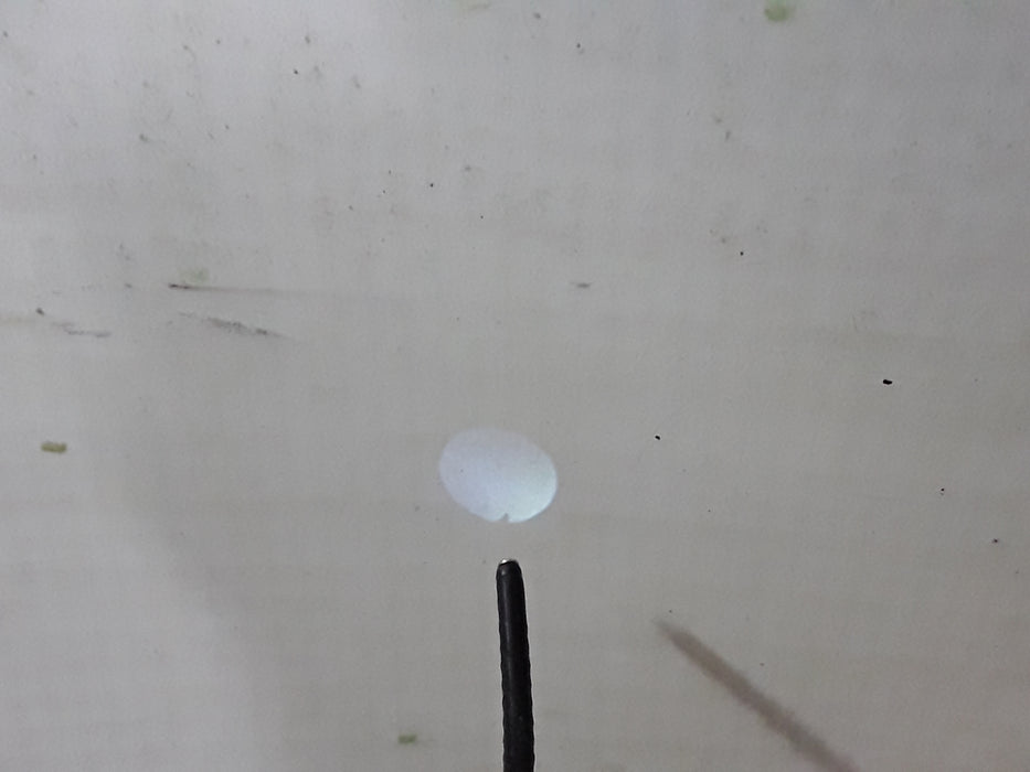 Olympus Olympus ENF-XP Fiber RhinoLaryngoscope Flexible Endoscopy reLink Medical