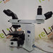 Olympus Olympus BX41 Binocular Microscope Lab Microscopes reLink Medical
