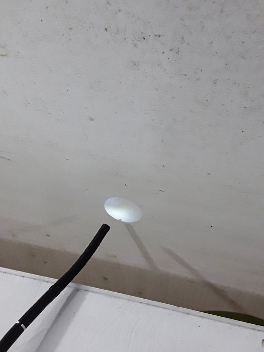 Olympus Olympus ENF-P4 Fiber Rhino Laryngoscope Flexible Endoscopy reLink Medical