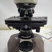 Nikon Nikon Labophot-2 Binocular Microscope Lab Microscopes reLink Medical