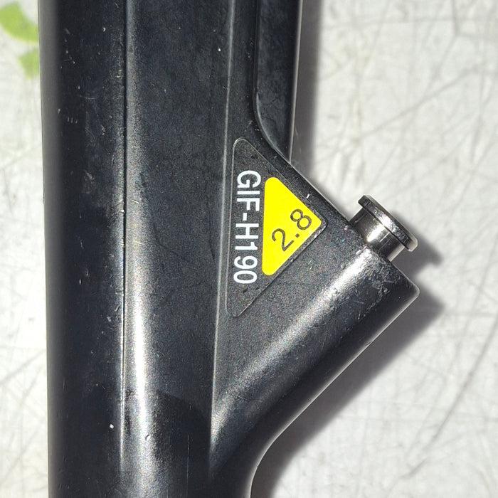 Olympus GIF-H190 Video Gastroscope