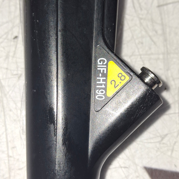 Olympus Olympus GIF-H190 Video Gastroscope Flexible Endoscopy reLink Medical