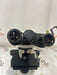 Accu-Scope Incorporated Accu-Scope Incorporated EXC-120 Series Binocular Microscope Lab Microscopes reLink Medical