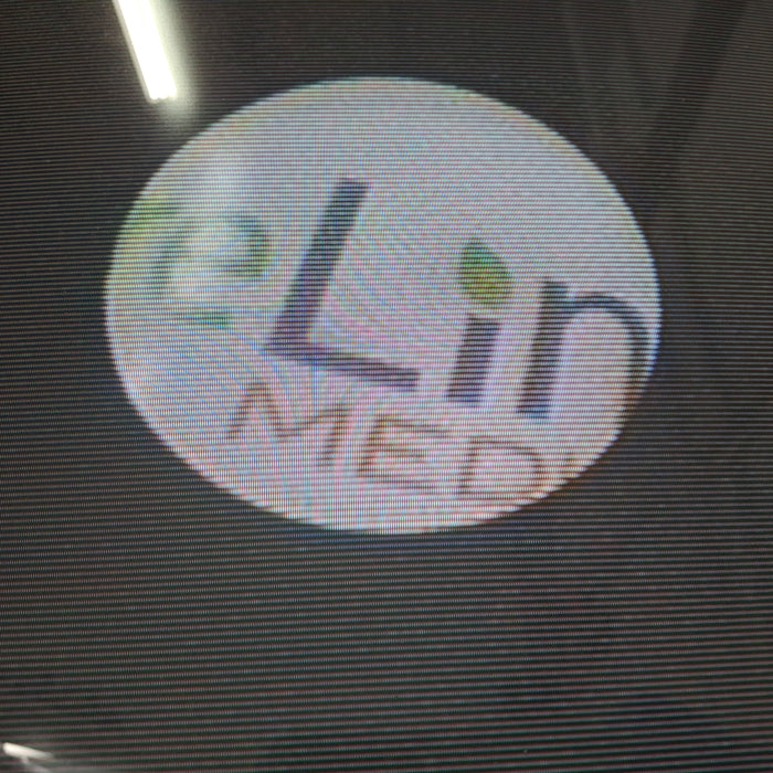 ACMI MR-6L Ureteroscope