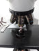 Nikon Nikon Eclipse E400 Binocular Microscope Lab Microscopes reLink Medical