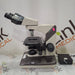 Nikon Nikon Labophot-2 Binocular Microscope Lab Microscopes reLink Medical