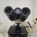 Nikon Nikon Labophot-2 Binocular Microscope Lab Microscopes reLink Medical
