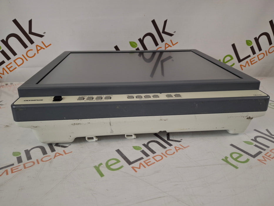 Olympus Olympus OEV191 Medical Display Flexible Endoscopy reLink Medical