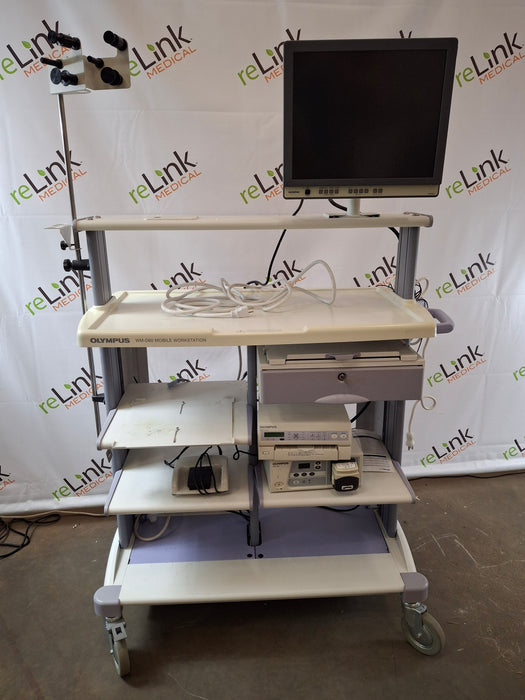 Olympus Olympus OEP-4 Color Video Printer Flexible Endoscopy reLink Medical