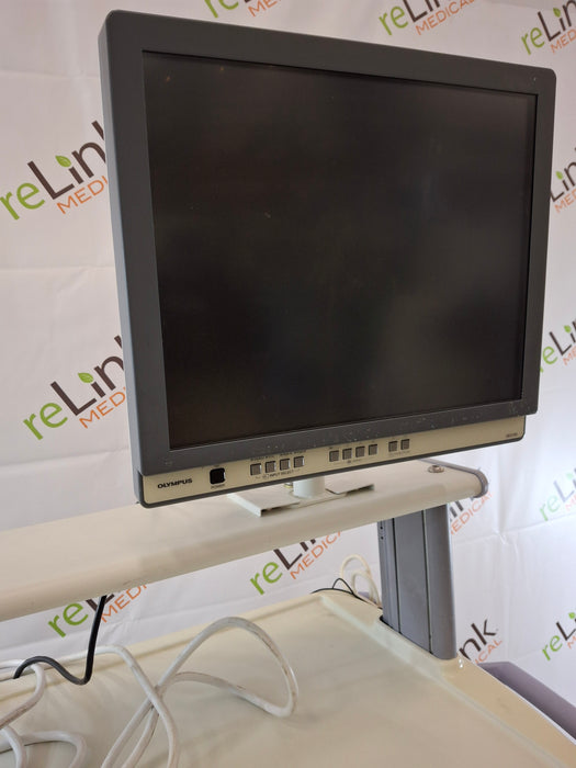 Olympus Olympus OEP-4 Color Video Printer Flexible Endoscopy reLink Medical