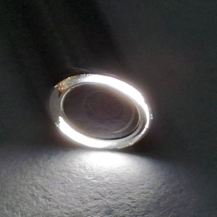 Intuitive Surgical Intuitive Surgical 11.0057a 5 x 312mm Laparoscope, 30° Rigid Endoscopy reLink Medical