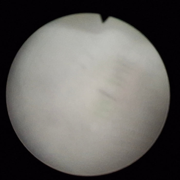 Richard Wolf 8880.543 4mm 30° Arthroscope