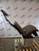 Ritter Ritter 230 Exam Chair Exam Chairs / Tables reLink Medical