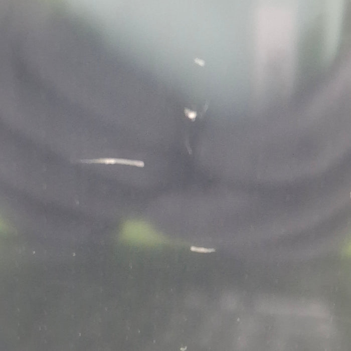 GE Healthcare GE Healthcare Carescape B650 Emergency Care Patient Monitor Patient Monitors reLink Medical