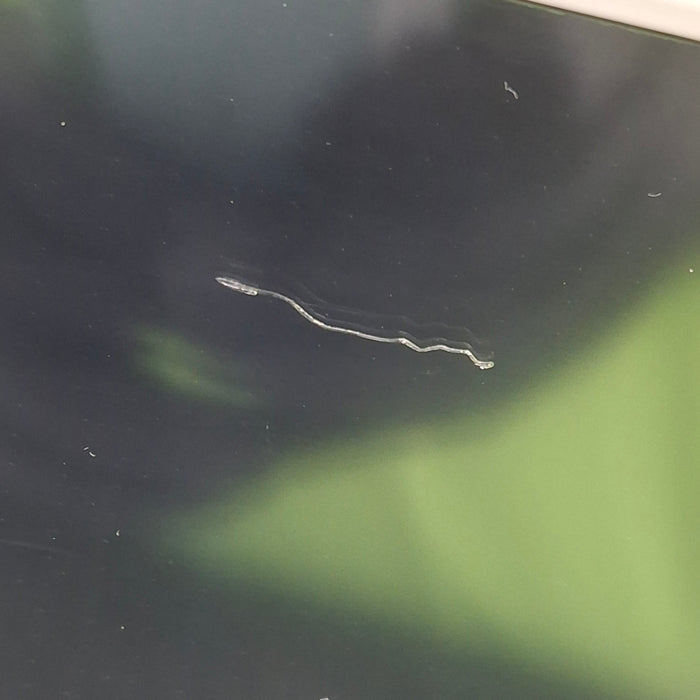 GE Healthcare GE Healthcare Carescape B650 Emergency Care Patient Monitor Patient Monitors reLink Medical