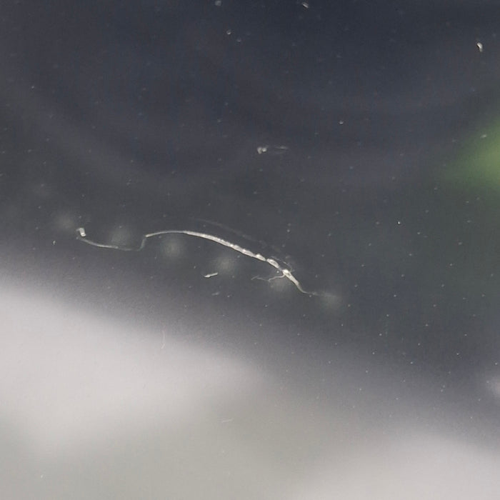 GE Healthcare GE Healthcare Carescape B650 Critical Care Patient Monitor Patient Monitors reLink Medical