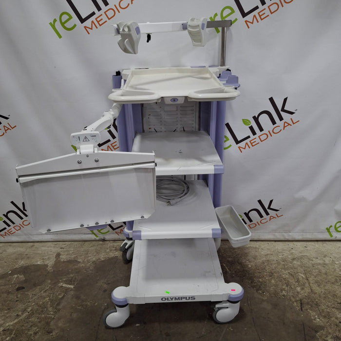 Olympus Olympus WM-NP1 Mobile Workstation Flexible Endoscopy reLink Medical