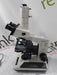 Olympus Olympus BH-2 BHTU Binocular Teaching Microscope Lab Microscopes reLink Medical