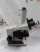 Olympus Olympus BH-2 BHTU Binocular Teaching Microscope Lab Microscopes reLink Medical