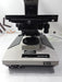 Olympus Olympus BH-2 BHTU Binocular Microscope Lab Microscopes reLink Medical