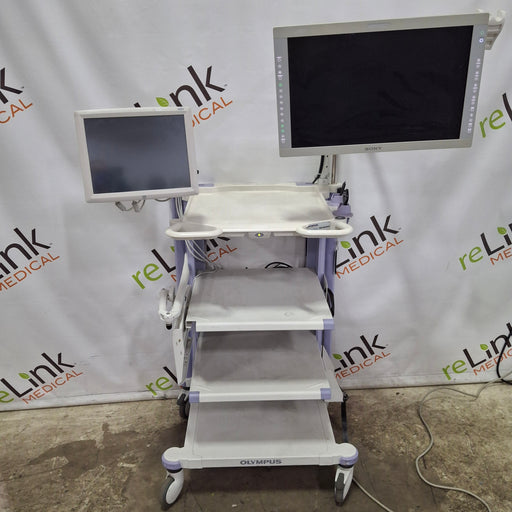 Olympus Olympus WM-WP1 Mobile Workstation Medical Furniture reLink Medical