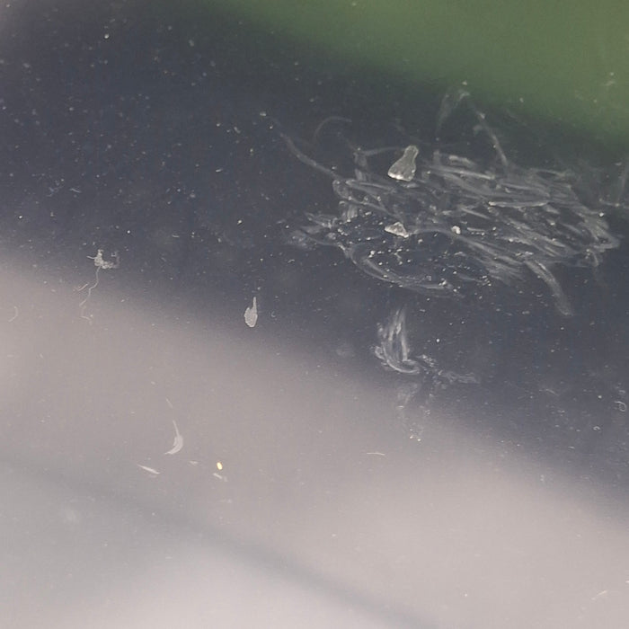 GE Healthcare GE Healthcare Carescape B450 Emergency Care Patient Monitor Patient Monitors reLink Medical