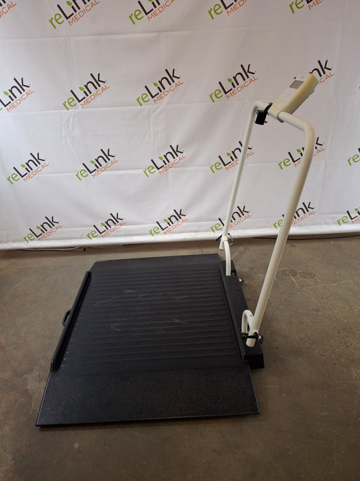 Doran Scales Inc. DS250 Physician Scale