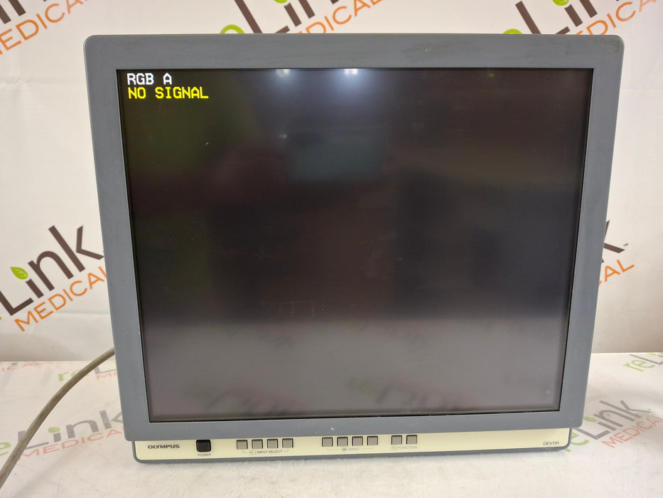 Olympus OEV191 Medical Display