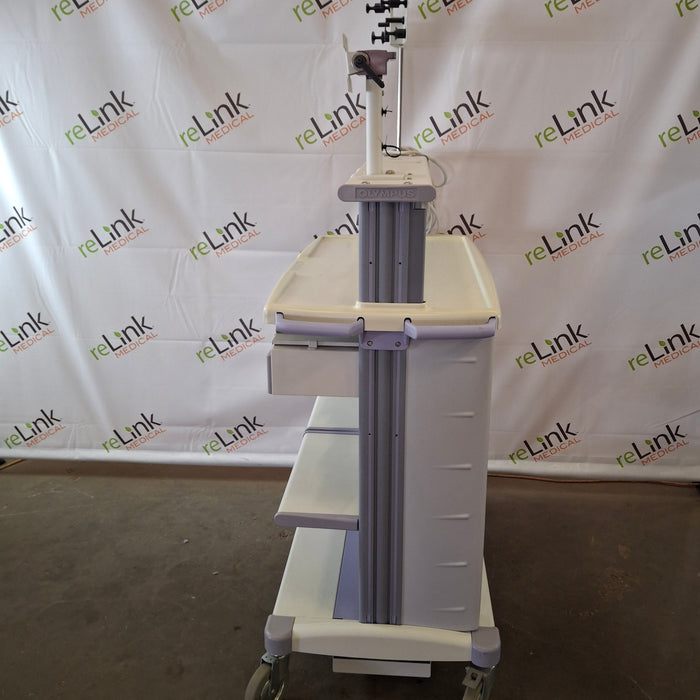 Olympus Olympus WM-D60 Mobile Workstation Cart Medical Furniture reLink Medical
