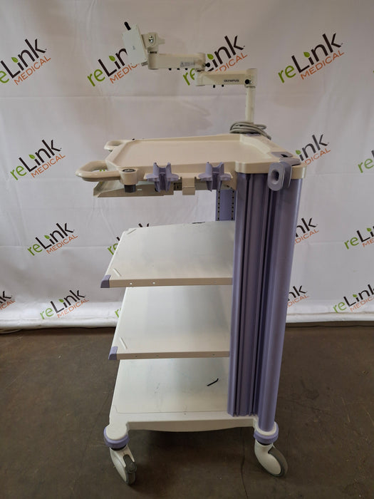 Olympus Olympus WM-WP1 Mobile Workstation Medical Furniture reLink Medical