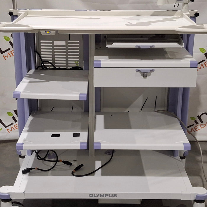 Olympus WM-DP1 Mobile Endoscopy Workstation Cart