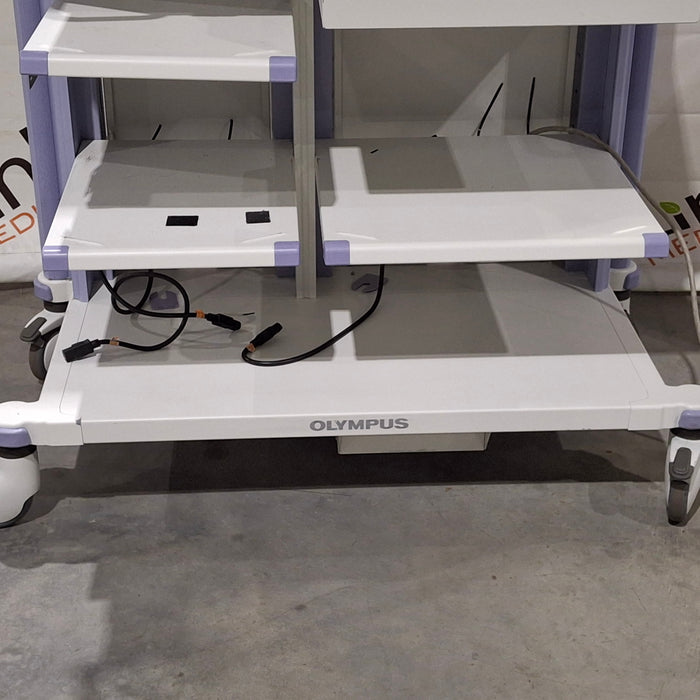 Olympus WM-DP1 Mobile Endoscopy Workstation Cart