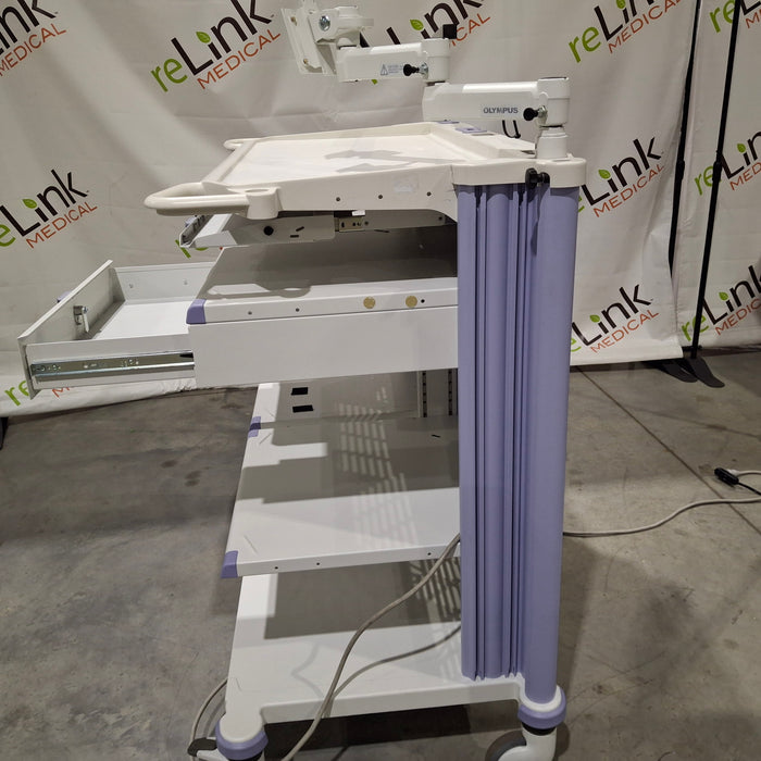 Olympus WM-DP1 Mobile Endoscopy Workstation Cart