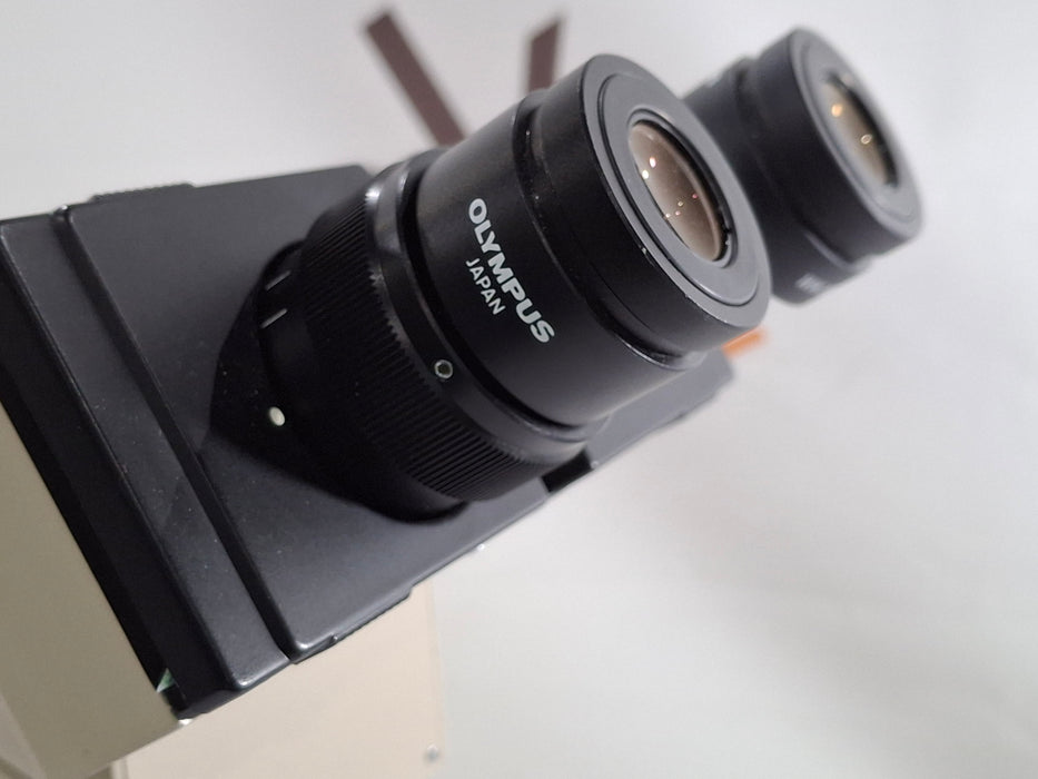 Olympus BH-2 BHTU Binocular Teaching Microscope