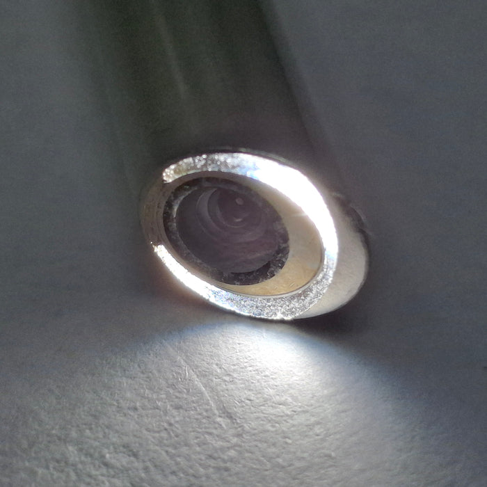 Stryker 502-103-030 Precision Ideal Eyes 30° Autoclavable Laparoscope, 10mm