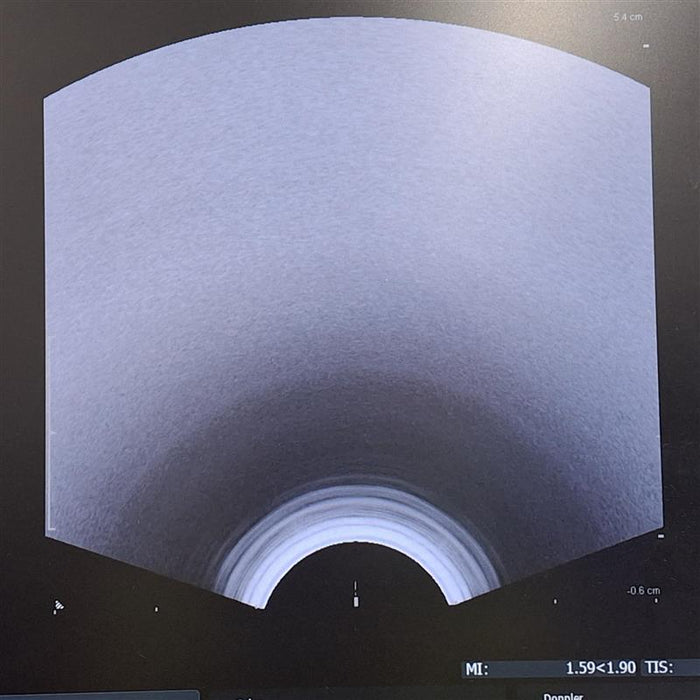 B-K Medical 8848 12-4 MHz Endocavity Biplane Transducer