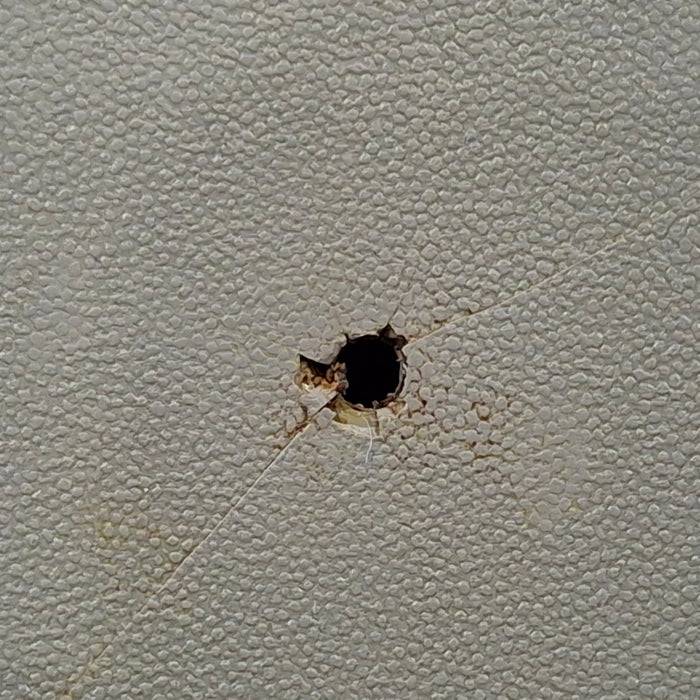 NeoProbe GDS 2300 Bluetooth Gamma Detection System