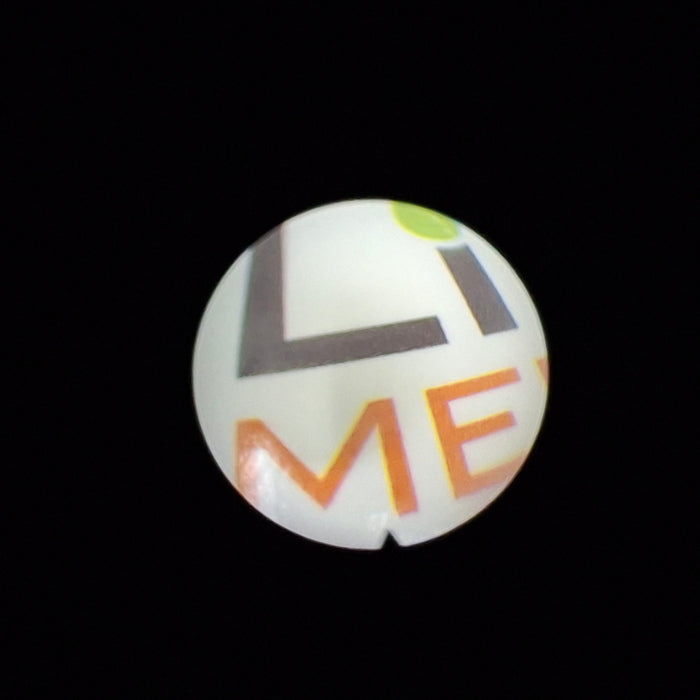 Richard Wolf 8632.411 20° Panoview Plus Cystoscope