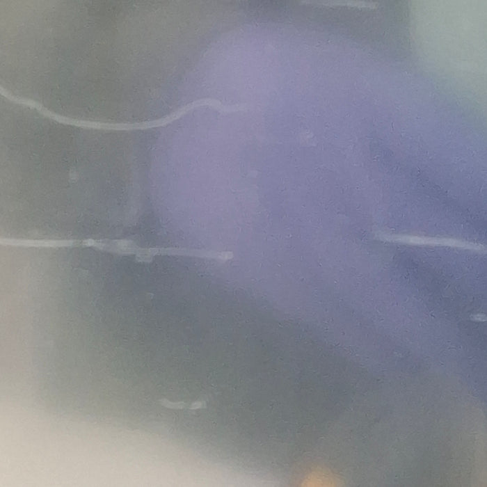 Draeger Medical Infinity Gamma X XL Patient Monitor